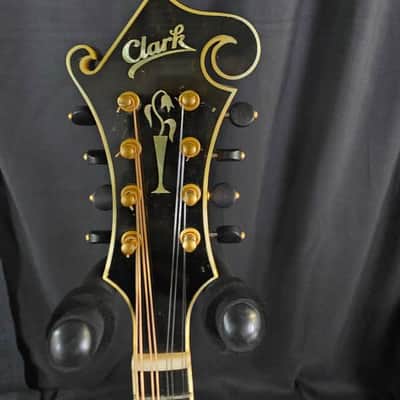 Clark F5 2010 - Oil Varnish Finish over Sunburst image 4