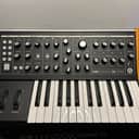 Moog Subsequent 25 Analog Synth -Juin 2024