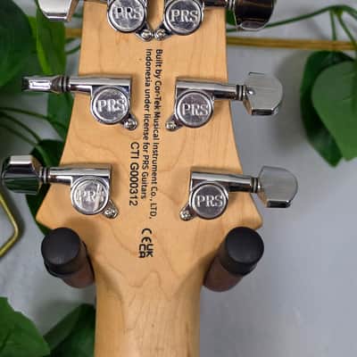 2024 PRS SE Swamp Ash Special - Iri Blue image 8