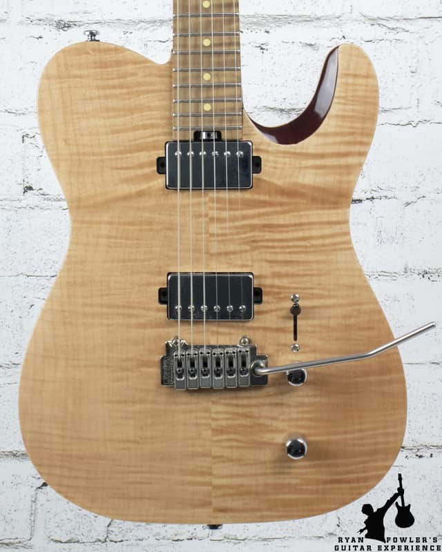 Harley Benton Fusion-T HH Roasted FNT | Reverb Canada