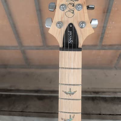 PRS SE Special - Swamp Ash image 9