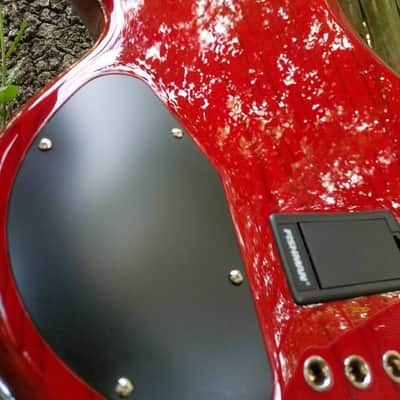 Lakland 55-02 Deluxe 2008 image 3