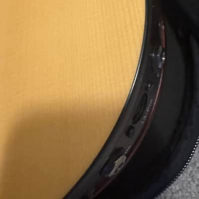 Godin A4 Ultra Fretted Bass - Semi Acoustic/Electric with Synth Access image 4