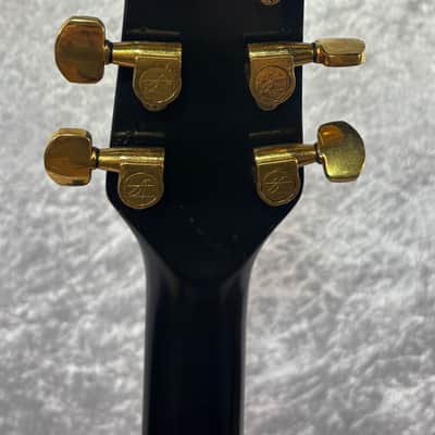 Washburn Raven electric guitar / flaming eagle refinish + Tweed case image 2