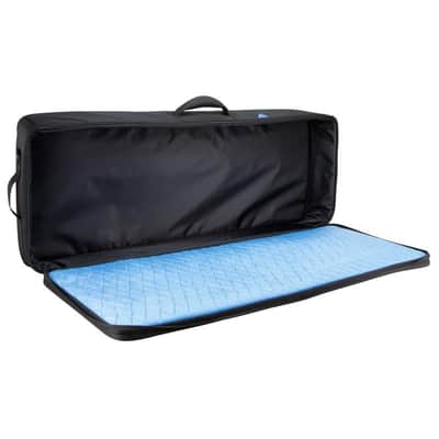 Reunion Blues RBX-43, Pedalboard/Gear Case 43" x 16" image 4