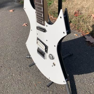 Custom R L James Guitar Custom Animal 2026 - Custom image 22