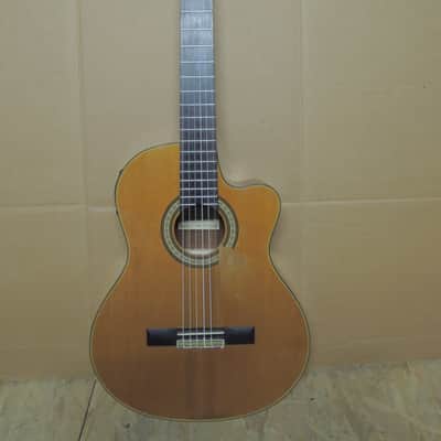 andalusia AG-6 G Guitare classique electro acoustique pan coupé Style Espagnole image 1