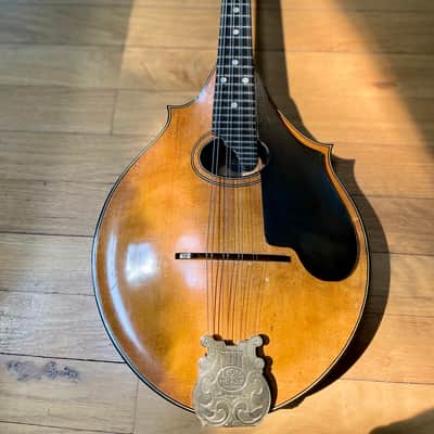 Lyon and Healy Style A Professional Mandolin 1920-1924 Natural image 2
