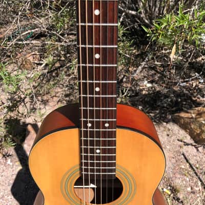 S101 Standard D34420 3/4 Size Acoustic Guitar with Gig Bag image 5