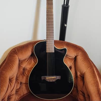 MIK Crafter CT-120 12-String Electro Acoustic Guitar image 1