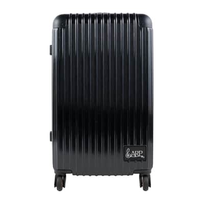 Korg ARP 2600 M Travel Case [USED]