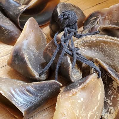 Hoof Rattles Set of 2 image 3
