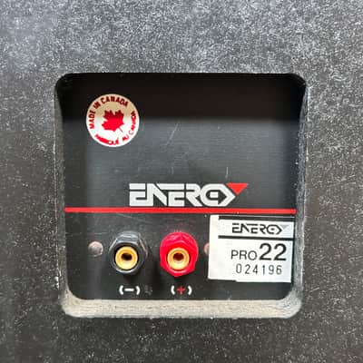 Energy Pro 22 Monitor Base Reflex 2-WaySpeaker - Pair image 13