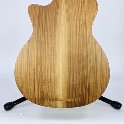 Taylor AD14ce-SB LTD 50th Anniversary Grand Auditorium w/AeroCase (Demo) image 10
