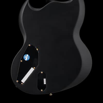 LTD Viper-1000 - Vintage Black #71519 (Factory Demonstration Model) image 2