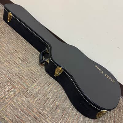 Gold Tone Hardshell Case Dulciborn image 2