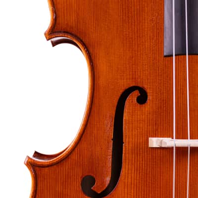Testore Cello 4/4 from One Piece Back – Hand-Made in Romania 2025 #100 image 3