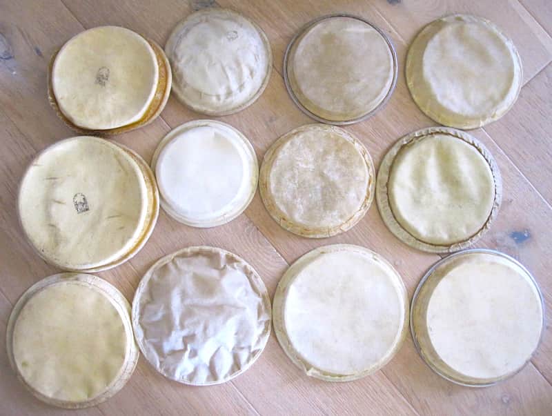 Bongo Head Heads Lot of 12 image 1