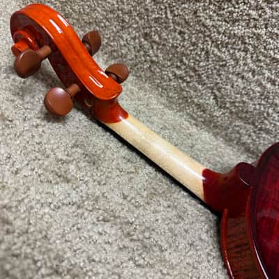 Immagine Sanatoga Electric Violin Outfit 4/4 - 6