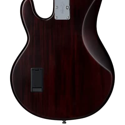 Sterling by Music Man StingRay Ray4 Bass Guitar in Walnut Satin image 4