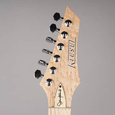 Kiesel Johnny Hiland Signature - White Wash Swamp Ash image 3