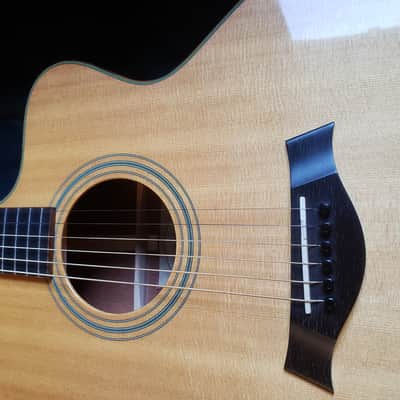 Taylor LKSM-6 | Leo Kottke Signature Model 2000's | Tropical Mahogany & Sitka Spruce image 11