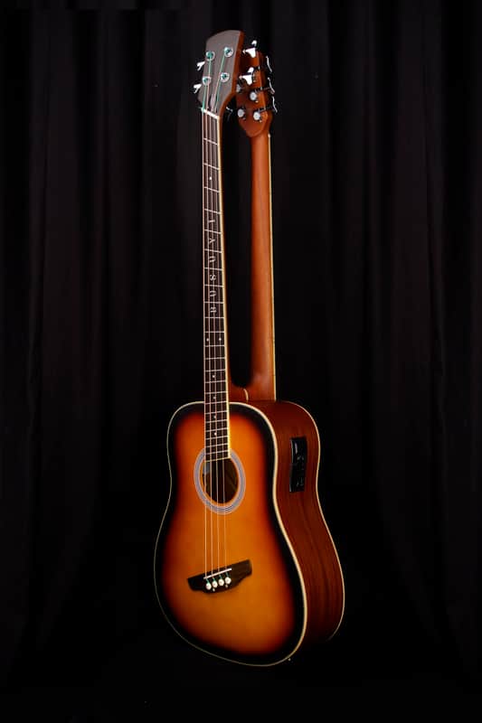 Busuyi Guitar 5 String Fretless Bass /4 String Fanned Fret Acoustic/Electric, Double Neck Guitar 2021 image 1