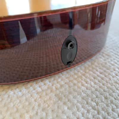 Taylor 918e with ES2 Electronics 2013 - Natural image 11