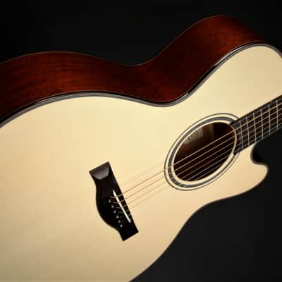 ON HOLD - Santa Cruz FS (Fingerstyle) MC Custom image 14