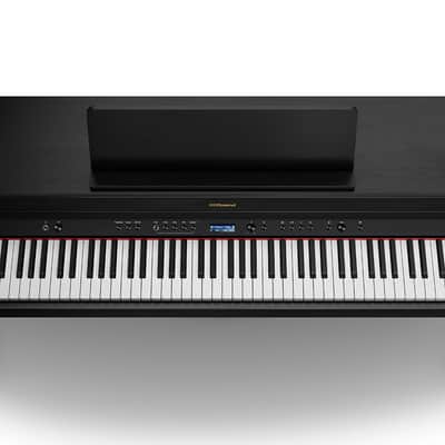HP702-CH Roland image 3