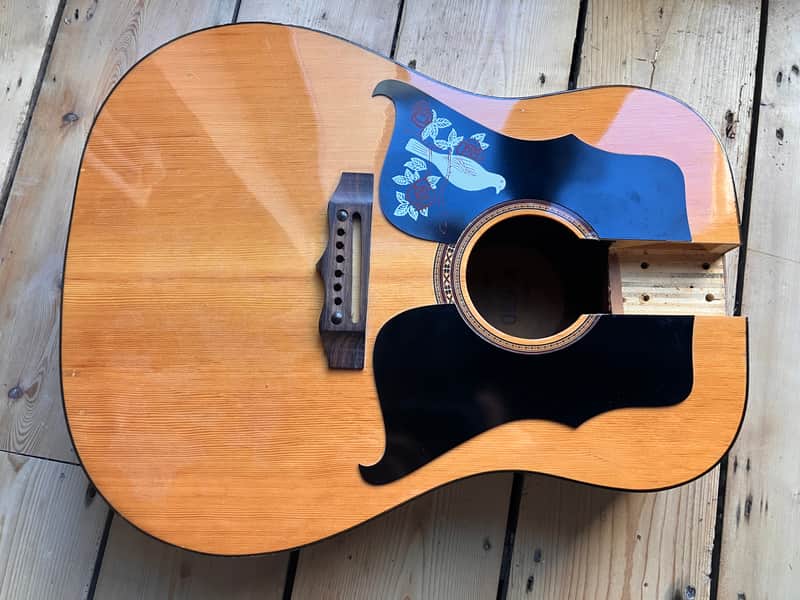 Kay K 550 70s 6 String Acoustic Guitar Body Made By Eko in Italy image 1