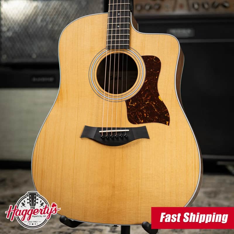 Taylor 210ce Dreadnought Acoustic/Electric Guitar with Gig Bag image 1