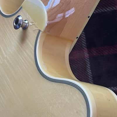 Agile AS820 12 String Semi-hollow Electric Guitar image 6
