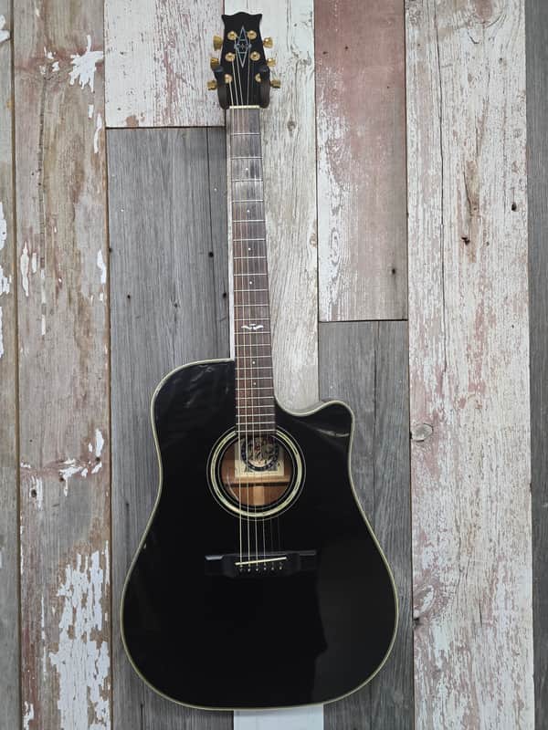 Alvarez  5084N Artist Series 1990s  - Black image 1