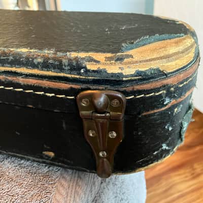 Ess & Ess guitar case image 15