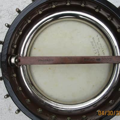 Washburn Model C Tenor Banjo, 1920's, 17 Fret, 11 3/4" Head, Tone Ring, Kershner Tailpiece, Case image 5