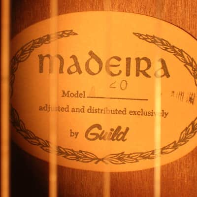 Vintage Guild 70s A-20 A20 Madeira mahogany/spruce dreadnaught acoustic guitar w/ohsc image 5
