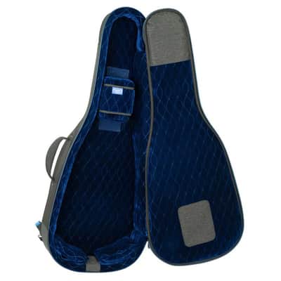 Reunion Blues Expedition - Small Body Acoustic Case image 6