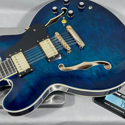 Olson 12 String Semi-Hollow Electric Guitar - Blueburst image 15