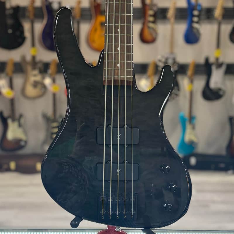 Used Washburn XB-125 5 String Transparent Black TSS4731 image 1
