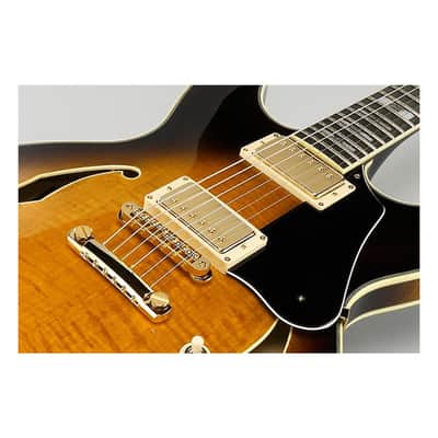 Ibanez John Scofield Signature JSM100 Hollow-Body Electric Guitar, Bound Ebony Fretboard, Vintage Sunburst image 12