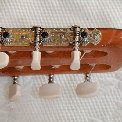 Esteve 3Z classical guitar/ Cedar top / Ziricote back and sides / Made in Spain image 10