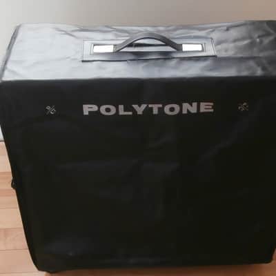 1974 Polytone Model 101 Bass Amp-  Fantastic  Condition !! image 5