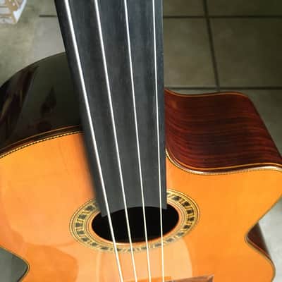LaBella ABE 100 FC Fretless Acoustic Bass image 11