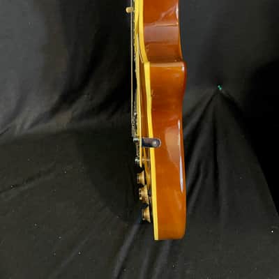 Jay Turser JT-200 image 7