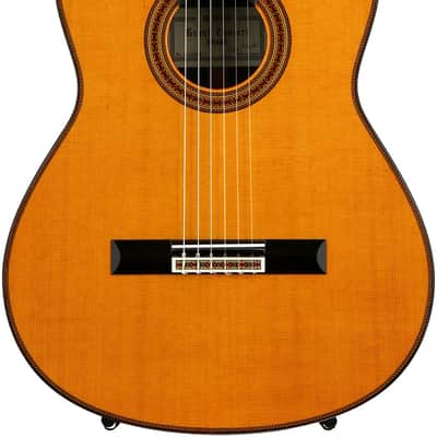 Yamaha GC42C, Great Concert Classical Guitar image 5
