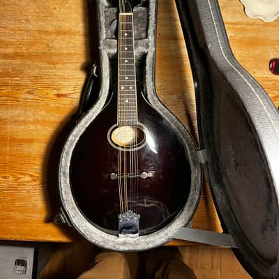 Ozark 2260 Deluxe 2010 image 6