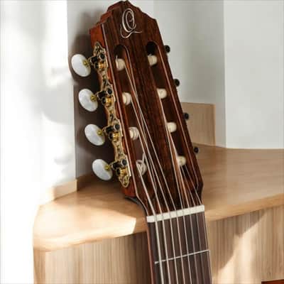 Ortega RCE158RW-8 Performer Series 8-String Classical Guitar â€“ Nylon Strings, Solid European Spruce, gloss finish Indonesian Rosewood, gloss finish, Cutaway, w/ Pickup image 16