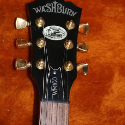 USA Custom Shop Washburn WM100 - Heavily Upgraded - No Tariffs image 3