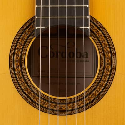 Cordoba 45 FP Flamenco Guitar Spruce/Sycamore image 7
